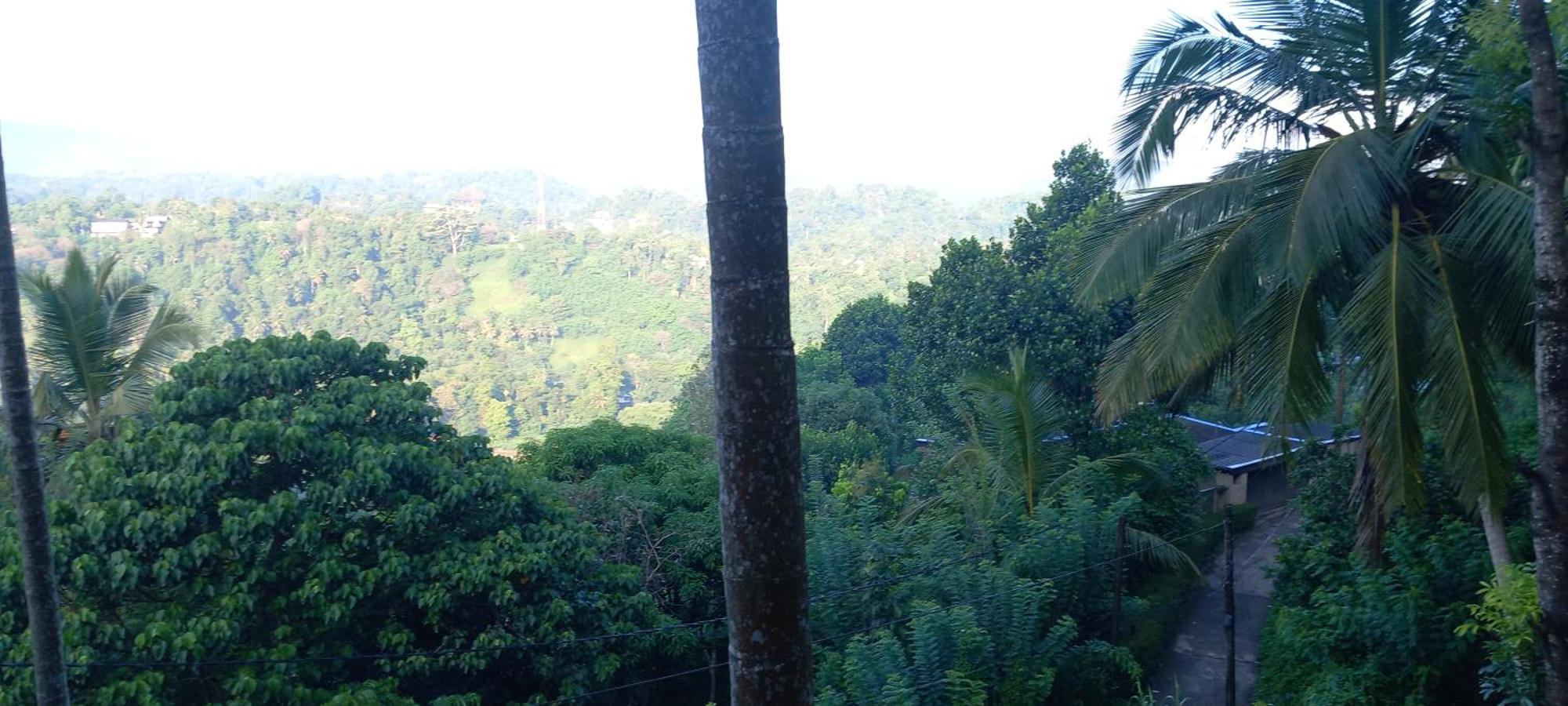 Mountain Bliss Villa Peradeniya Ngoại thất bức ảnh
